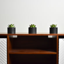 Load image into Gallery viewer, Modern Potted Artificial Succulents (3 Pack)