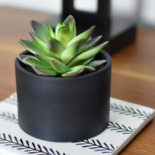 Load image into Gallery viewer, Modern Potted Artificial Succulents (3 Pack)