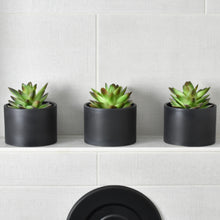 Load image into Gallery viewer, Modern Potted Artificial Succulents (3 Pack)