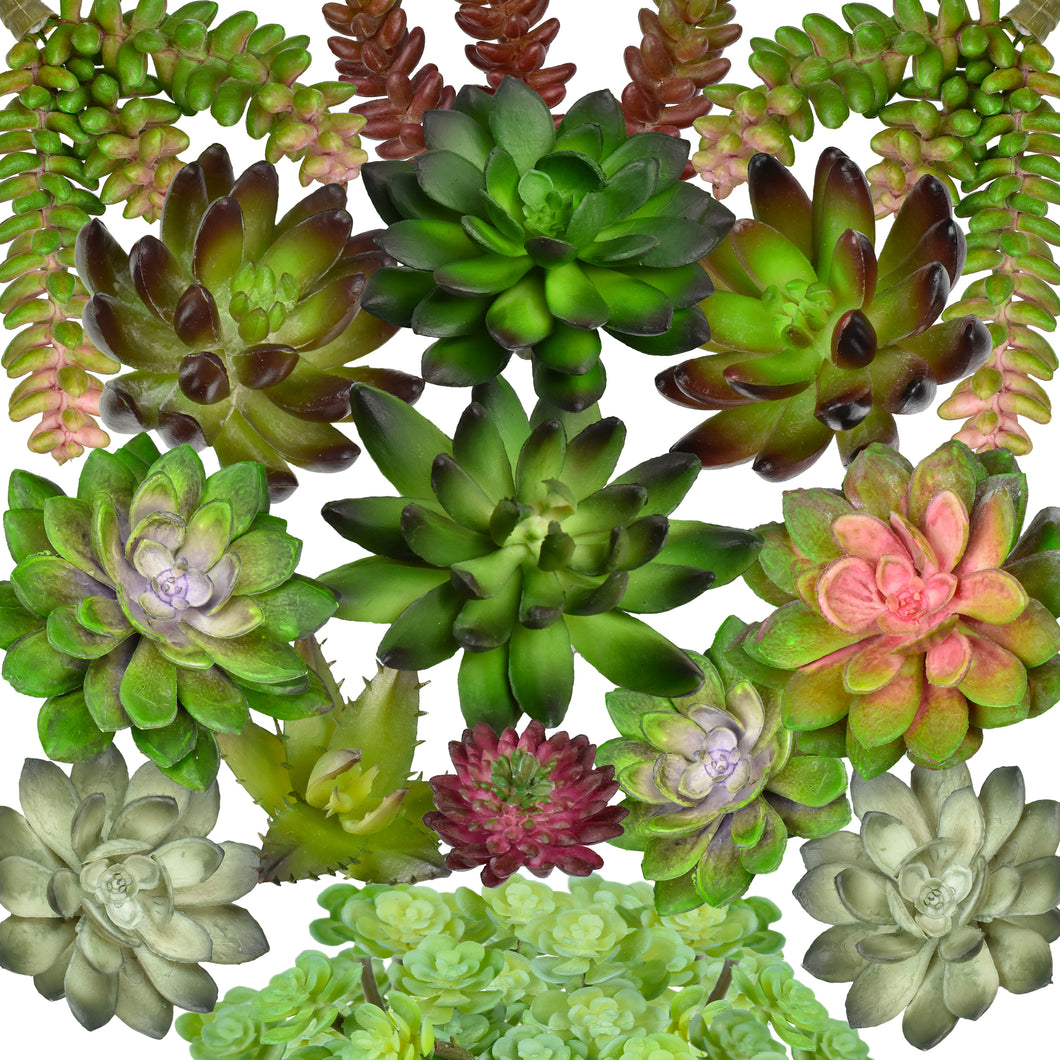 Assorted Artificial Succulents (15 Pack)