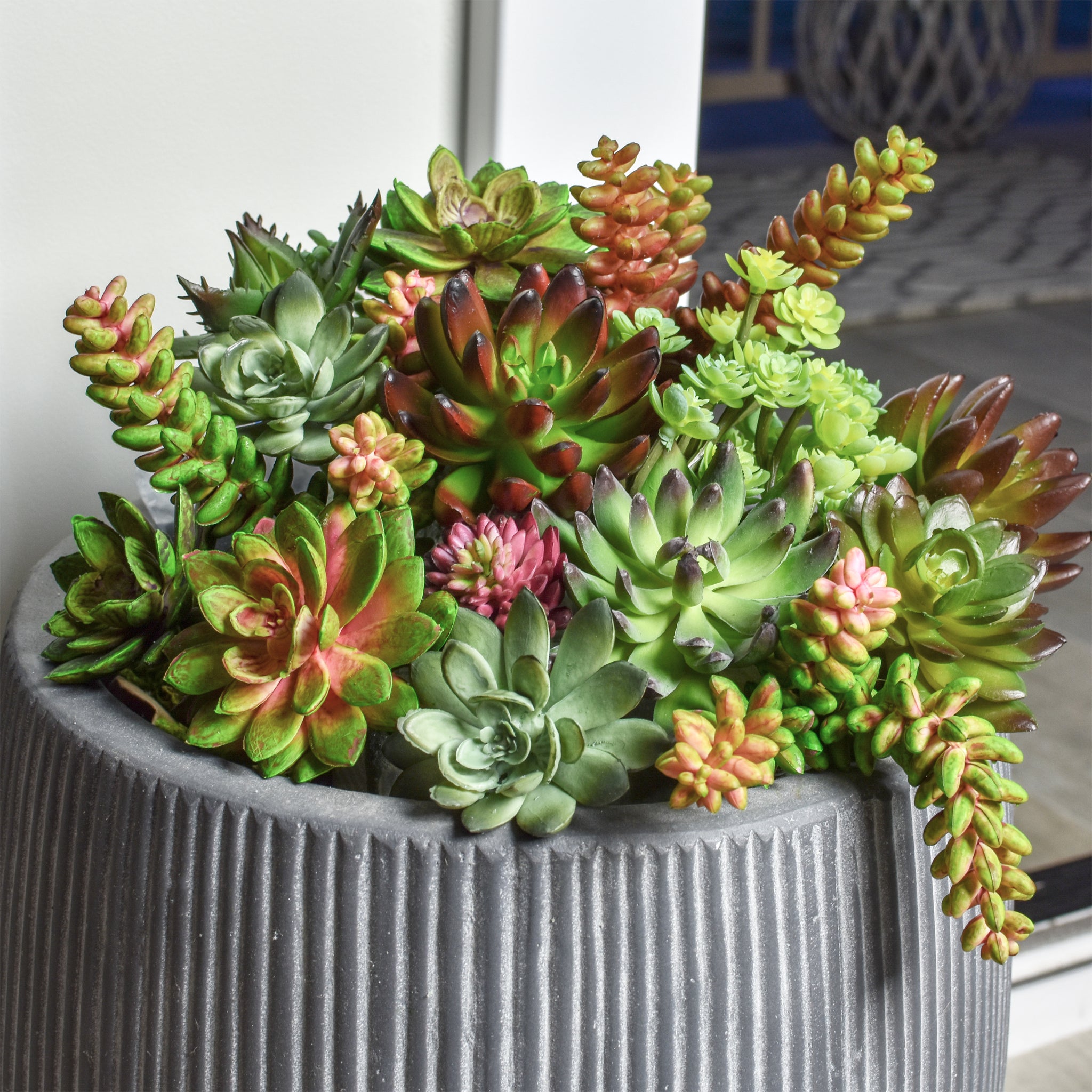 assorted faux succulents Assorted Artificial Succulents (15 Pack) – Seeko Succulents