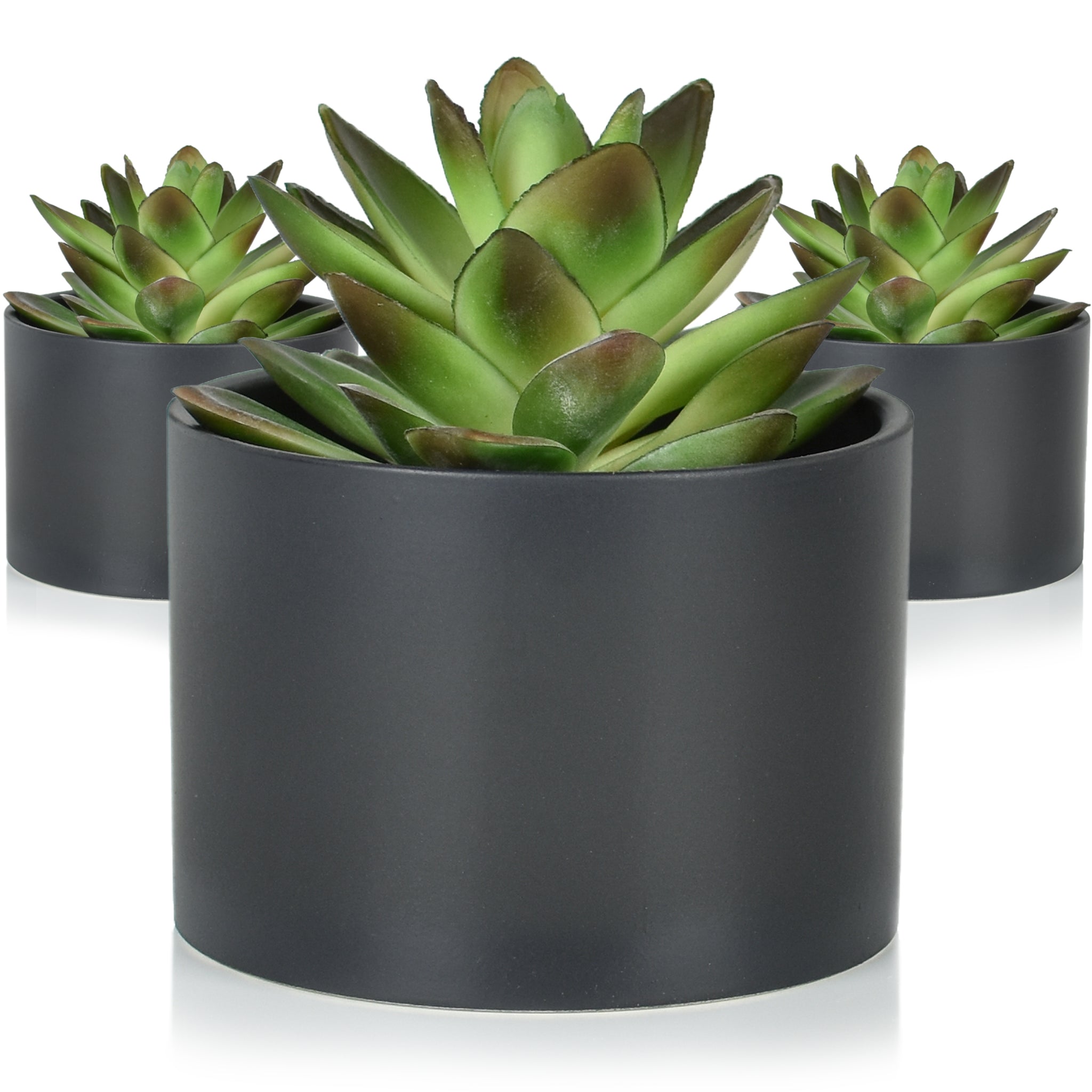 seeko succulents Modern Potted Artificial Succulents (3 Pack) – Seeko Succulents