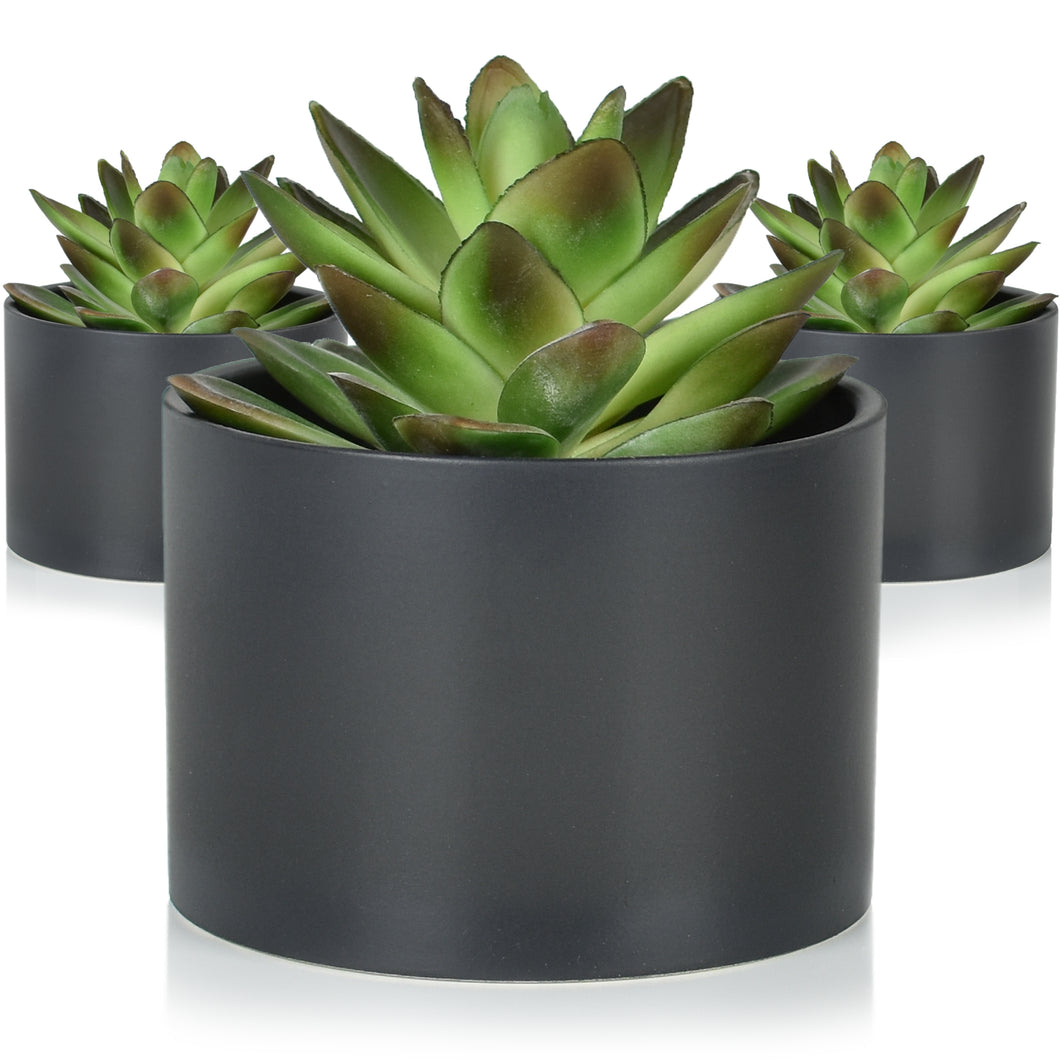 Modern Potted Artificial Succulents (3 Pack)