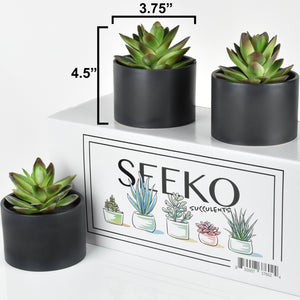 Modern Potted Artificial Succulents (3 Pack)