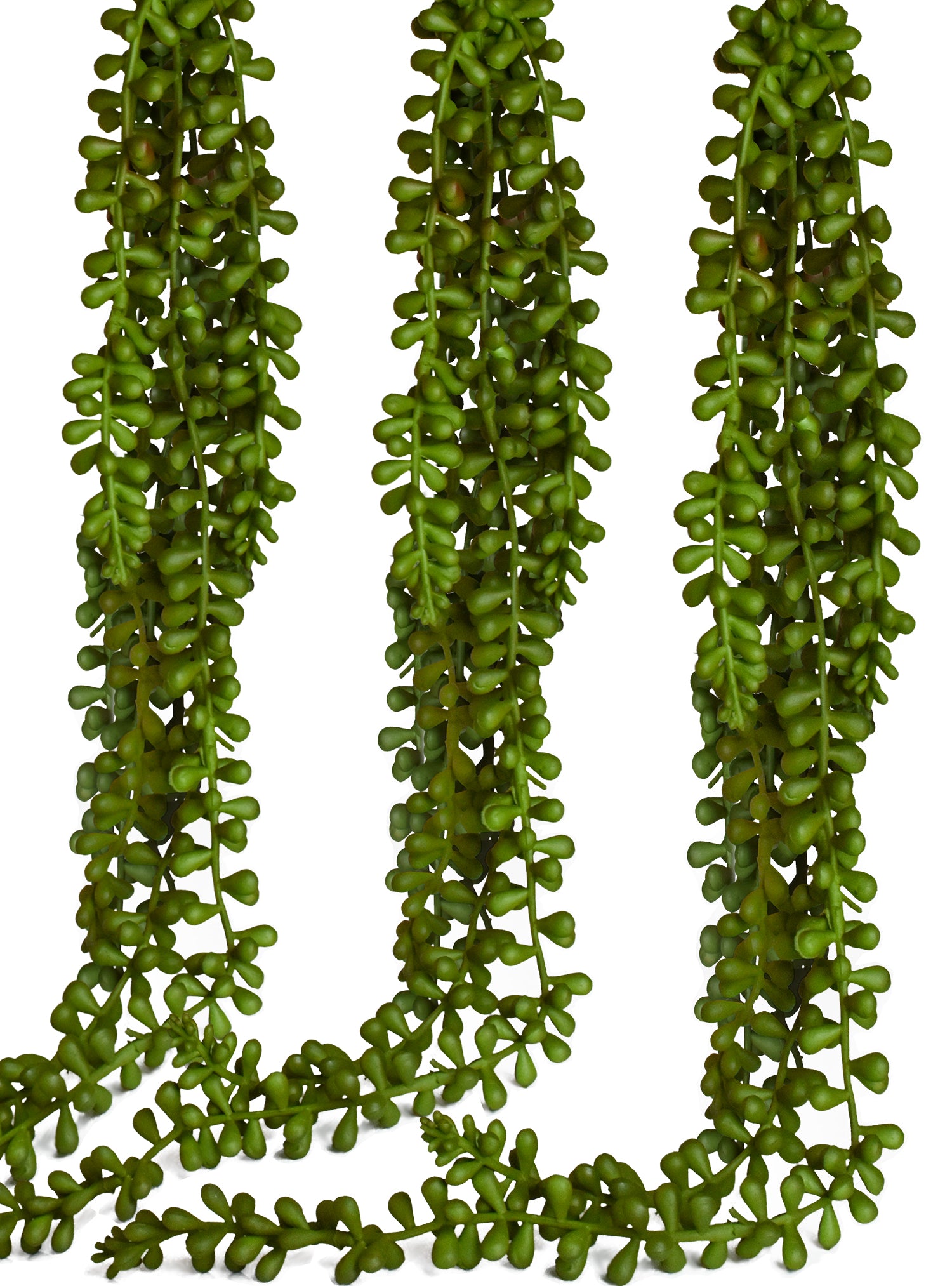 fake string of pearls succulent Extra Large String of Pearls Plant (3 Pack) – Seeko Succulents