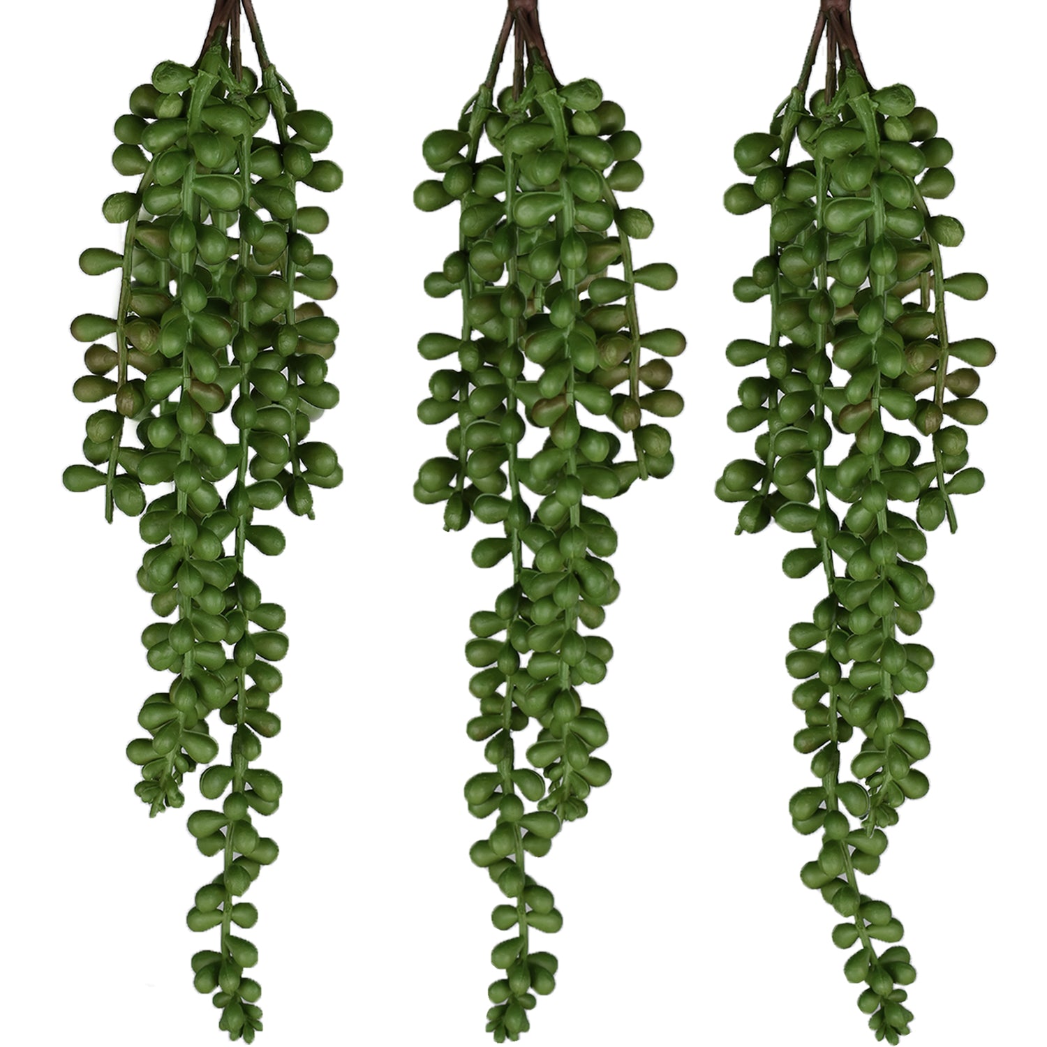 artificial string of pearls succulent Artificial String of Pearls Plant (3 Pack) – Seeko Succulents